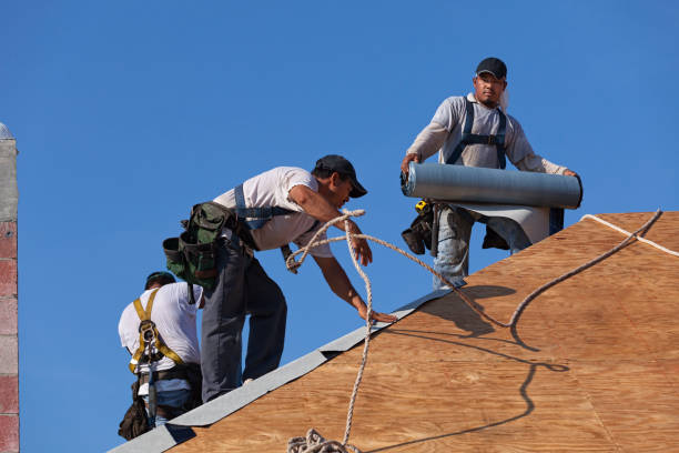 Gutter Installation and Roofing in Goodwater, AL