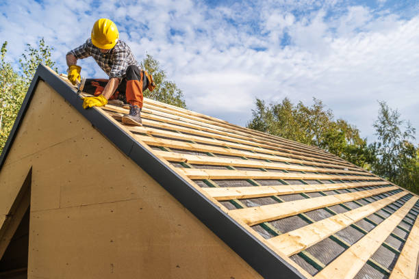 Best Roof Gutter Cleaning  in Goodwater, AL