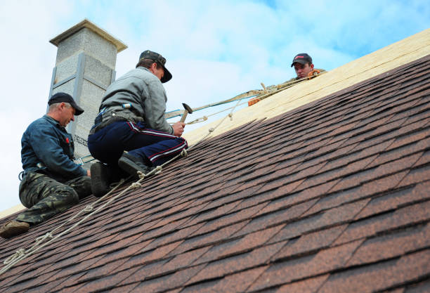 Best Storm Damage Roof Repair  in Goodwater, AL