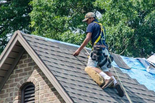 Best Gutter Installation and Roofing  in Goodwater, AL